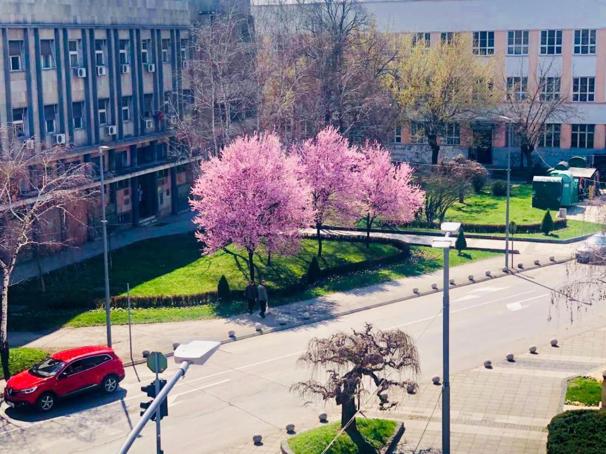 Bella Studios Kruševac Buitenkant foto